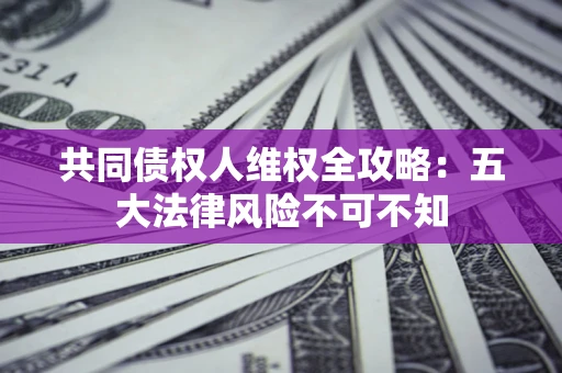 武汉共同债权人维权全攻略：五大法律风险不可不知