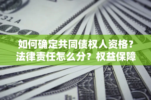 武汉如何确定共同债权人资格？法律责任怎么分？权益保障技巧揭秘！