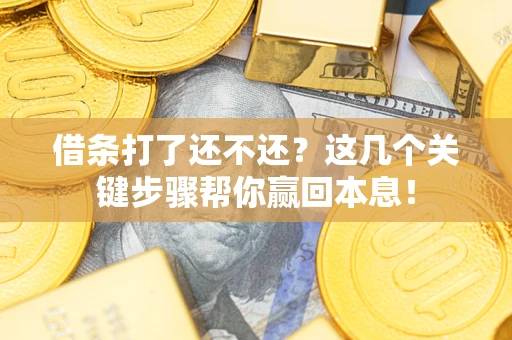 武汉借条打了还不还？这几个关键步骤帮你赢回本息！
