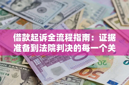 武汉借款起诉全流程指南：证据准备到法院判决的每一个关键步骤