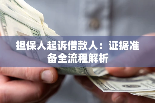 武汉担保人起诉借款人：证据准备全流程解析