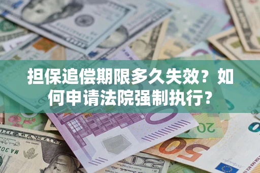 武汉担保追偿期限多久失效？如何申请法院强制执行？