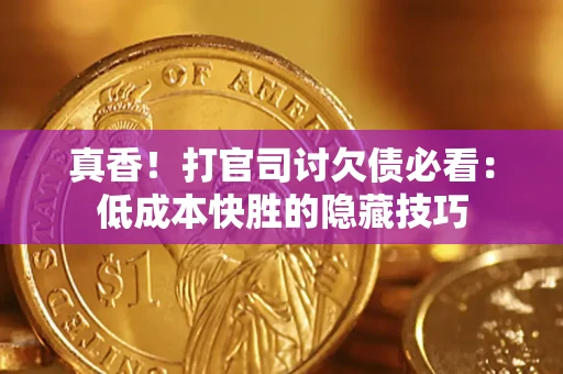 武汉真香！打官司讨欠债必看：低成本快胜的隐藏技巧