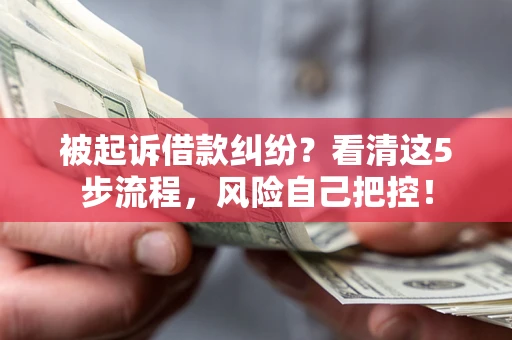 武汉被起诉借款纠纷？看清这5步流程，风险自己把控！