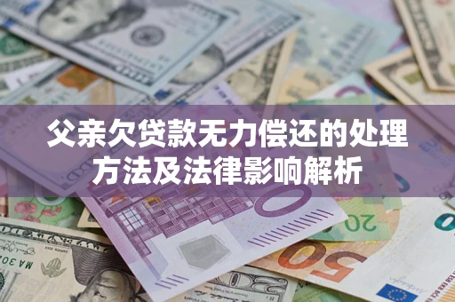 武汉父亲欠贷款无力偿还的处理方法及法律影响解析