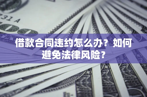 武汉借款合同违约怎么办？如何避免法律风险？