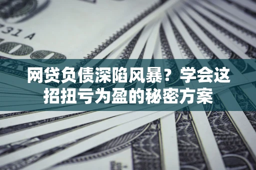 武汉网贷负债深陷风暴？学会这招扭亏为盈的秘密方案